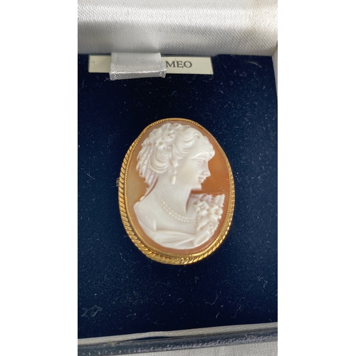 146 - A 9ct gold cameo brooch.