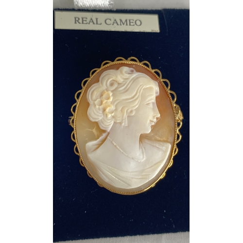 169 - A 9ct gold cameo brooch.