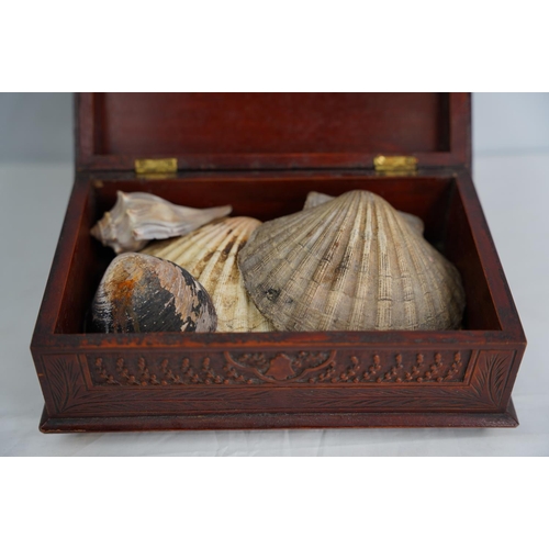 329 - A decorative carved wooden box with eagle design and a collection of sea shells.