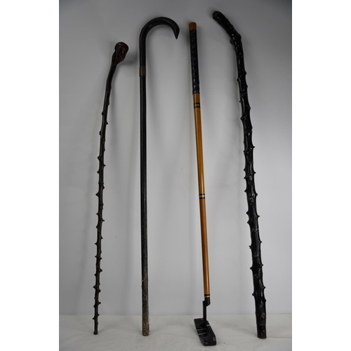 343 - Two blackthorn walking sticks and more.