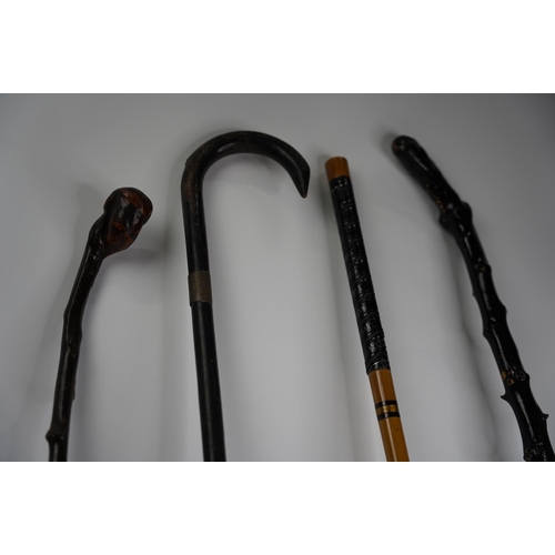 343 - Two blackthorn walking sticks and more.