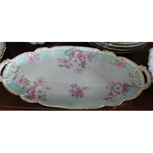 446 - A stunning antique decorative ceramic dinner set (a/f).