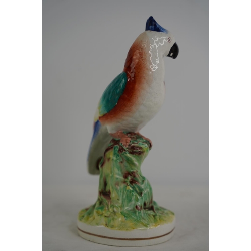 70 - A Victorian Staffordshire parrot.