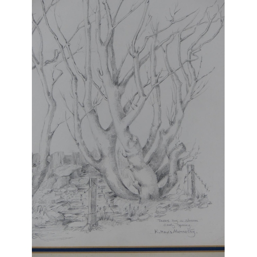 218 - A framed pencil drawing 'Trees by a Stream, Early Spring' by K Mavis Abernethy.