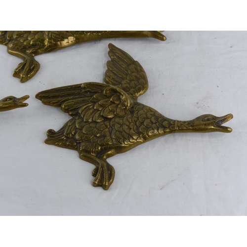 332 - Three vintage brass flying duck plaques.