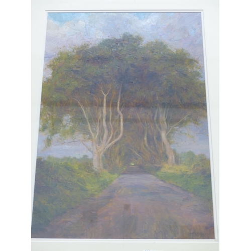 432 - A framed oil painting of the 'Dark Hedges' signed ?? 72cm x 57cm