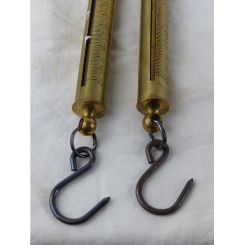 500 - Two vintage brass Salter hanging scales.