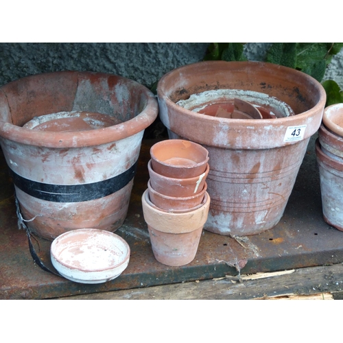 43 - An assortment of terracotta plant pots.