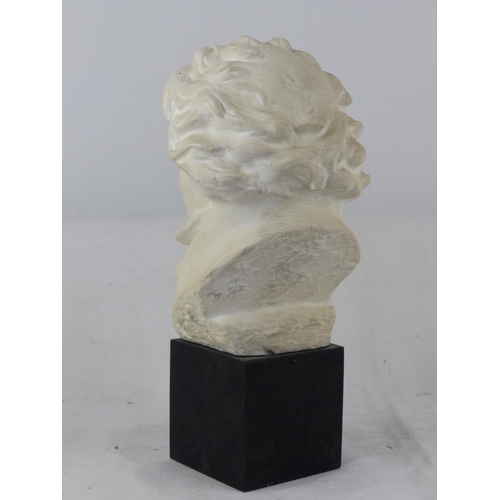 226 - A bust of Beethoven.