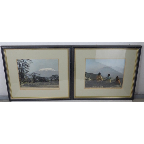 Lot 53        
