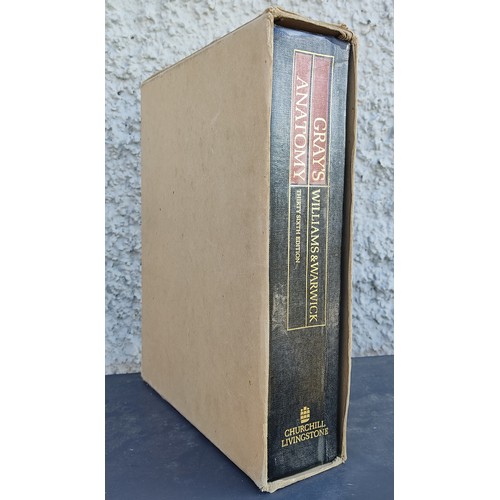 Lot 29        