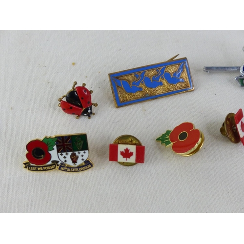 38 - A collection of Poppy pin badges and more.