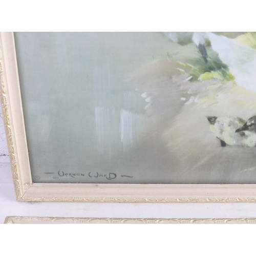 410 - A pair of vintage Vernon Ward prints of swans. 41x31cm.