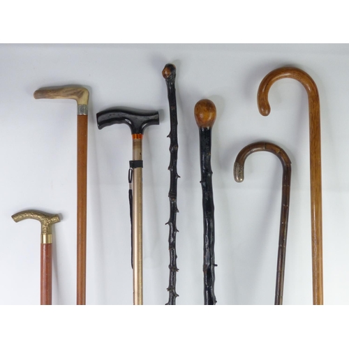 19 - Two Blackthorn walking canes and more.