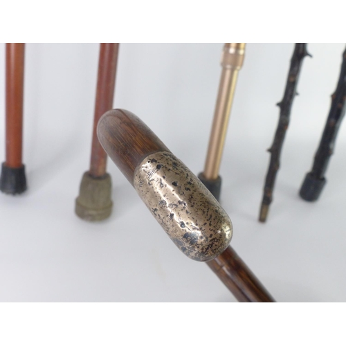 19 - Two Blackthorn walking canes and more.