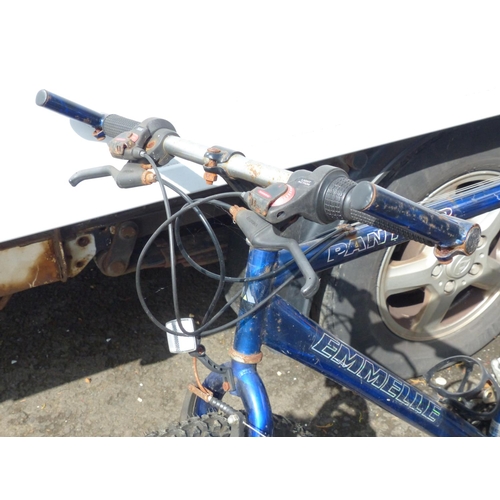 3 - A panther Emmelle rally bicycle.