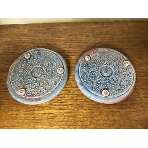 30 - A pair of studio pottery plaques, by Diane McCormick. Measuring approx 12cm in diameter