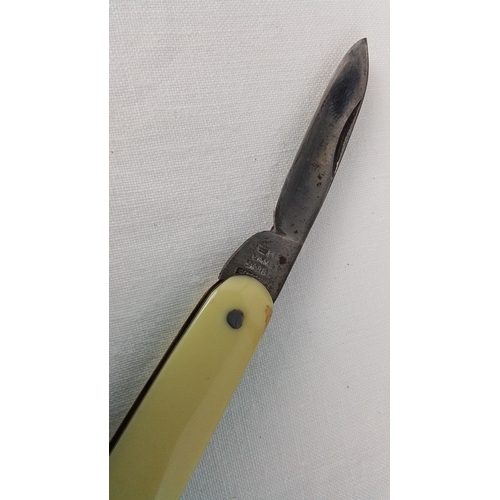 30 - A pocket knife James Barber, Sheffield, with two folding steel blades and cream-coloured handles, ac... 