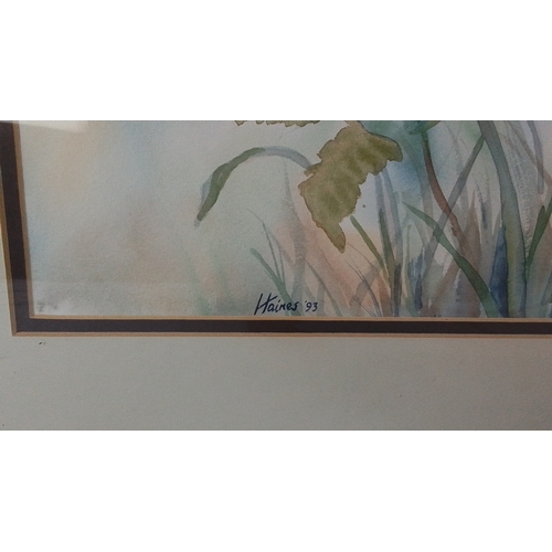 43 - A framed watercolour study of red poppies, signed and dated ‘Haines 93’, mounted under glass within ... 