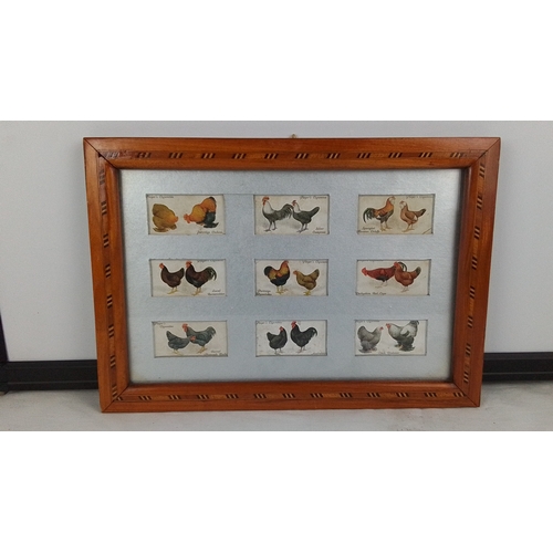 75 - Set of 9 framed Player's Cigarettes poultry breed cards, each colour-printed with cockerel and hen s... 
