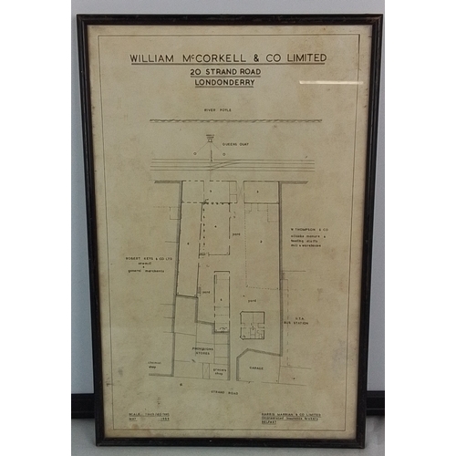 293 - A framed survey plan for William McCorkell & Co. Limited, 20 Strand Road, Londonderry, showing site ... 