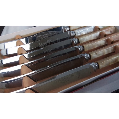 116 - A group of assorted cased flatware including fish knives and forks with ivory-coloured handles, moth... 
