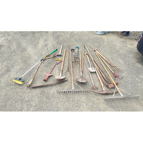 127 - A large assortment of garden tools etc.