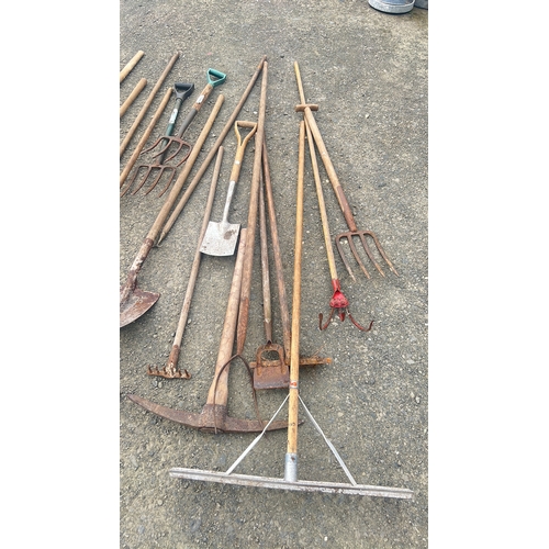 127 - A large assortment of garden tools etc.