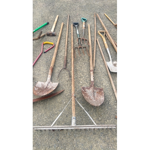 127 - A large assortment of garden tools etc.