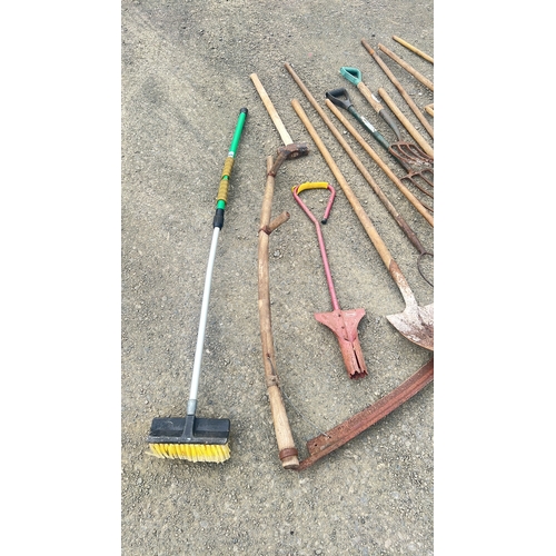 127 - A large assortment of garden tools etc.