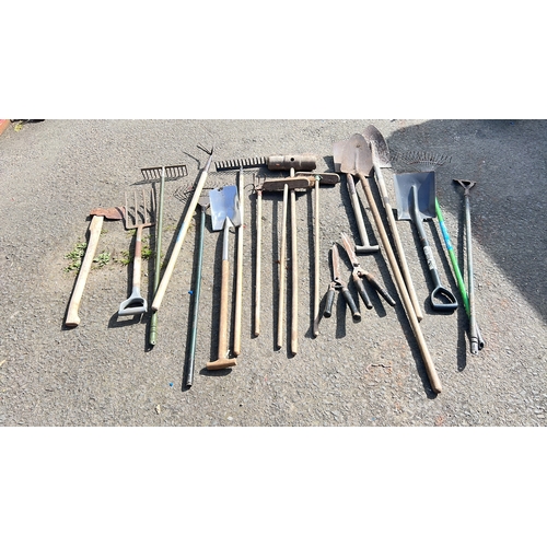 29 - A mixed group of garden tools comprising rakes, spades, shovels, forks, brooms, hoes, a three-prong ... 