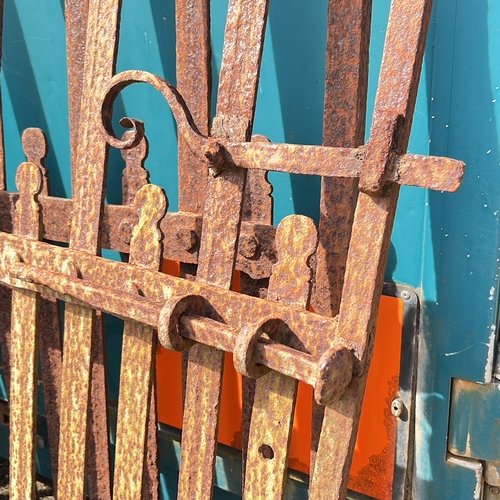 30 - A pair of antique blacksmith forged wrought iron gates, in the Vernacular style, 160cm height x 133c... 