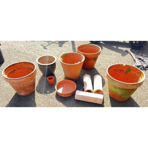 44 - An assortment of Terracotta plant pots.