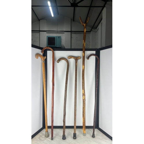 142 - An assortment of 6 walking sticks.