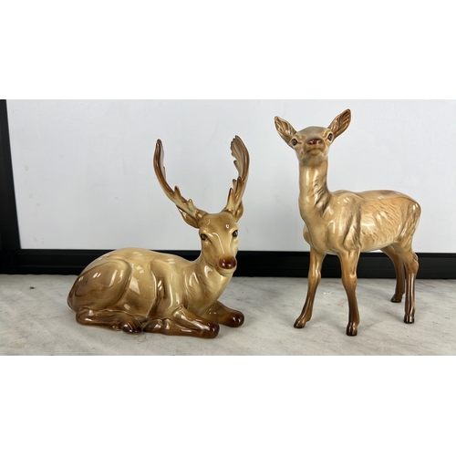 Lot 185       