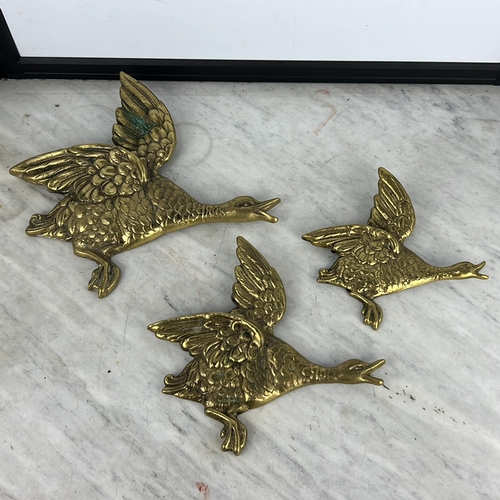 Lot 214       