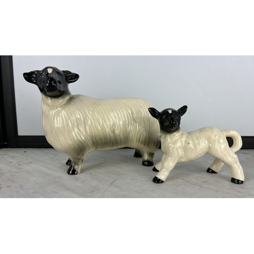 Lot 236       