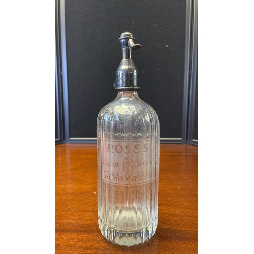 Lot 51        