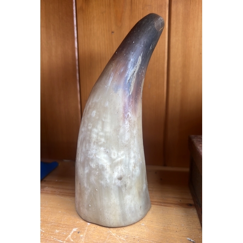 Lot 53        