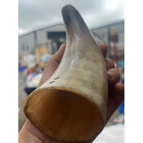 53 - Natural horn vessel, probably cow horn, of tapering curved form with a polished surface and open mou... 