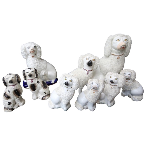 241 - A GOOD SELECTION OF STAFFORDSHIRE KING CHARLES DOGS (9) LATE 19TH CENTURY           **PLEASE NOTE: T... 