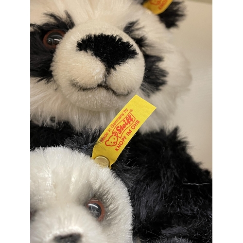 290 - STEIFF CHACHA PANDA BEAR AND BABY 660818