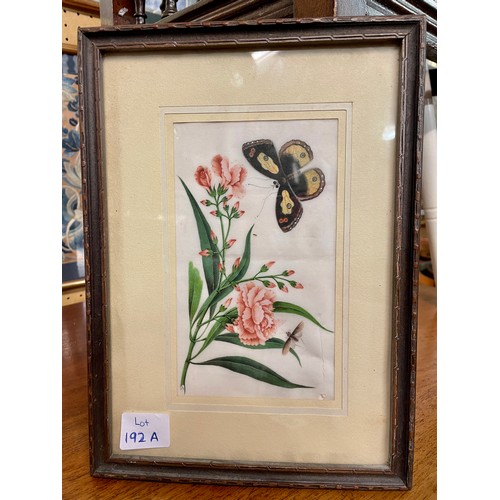 192A - WATERCOLOUR ON RICE PAPER OF BUTTERFLY AMONGST FLOWERS F/G