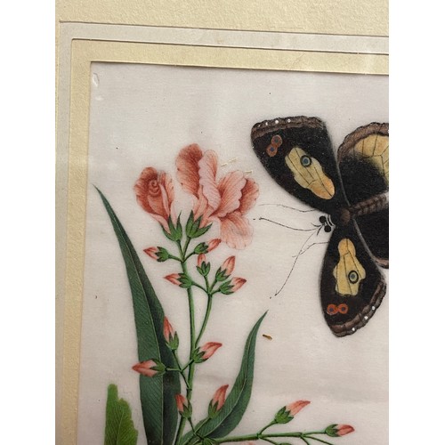 192A - WATERCOLOUR ON RICE PAPER OF BUTTERFLY AMONGST FLOWERS F/G