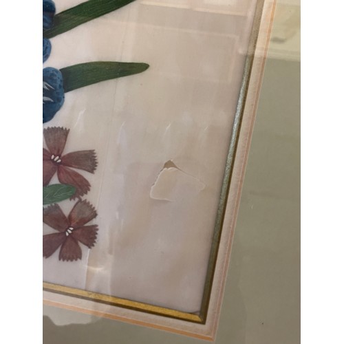 192 - WATERCOLOURS ON RICE PAPER OF BUTTERFLIES AND FLOWERS F/G