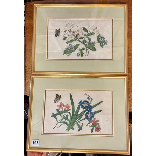 192 - WATERCOLOURS ON RICE PAPER OF BUTTERFLIES AND FLOWERS F/G