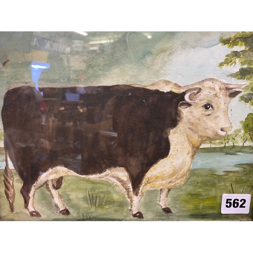 562 - WATERCOLOUR ON PAPER OF A PRIZE BULL UNSIGNED F/G 27 X 20CM APPROX