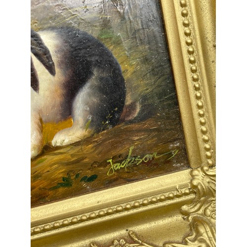 498 - 20TH CENTURY OIL ON PANEL SIGNED JACKSON DEPICTING LOP EARED RABBITS IN GILT FRAME 24X19CM APPROX