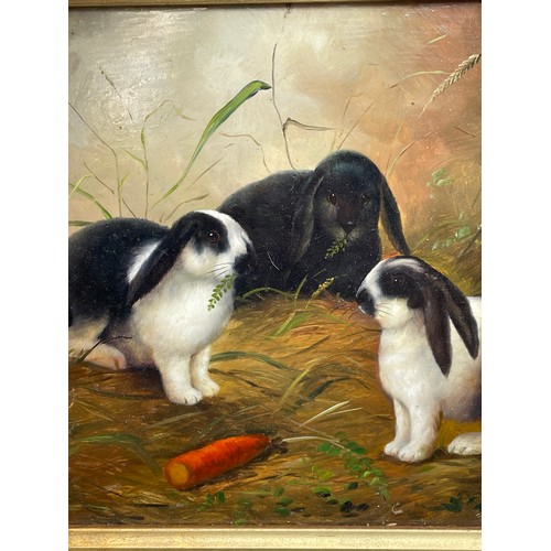 498 - 20TH CENTURY OIL ON PANEL SIGNED JACKSON DEPICTING LOP EARED RABBITS IN GILT FRAME 24X19CM APPROX