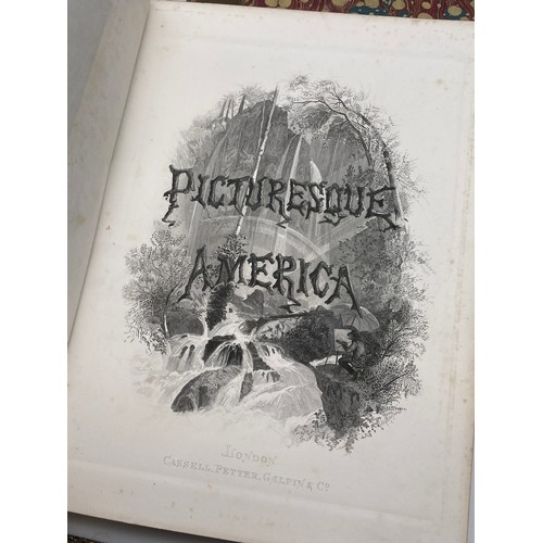 401 - TWO VOLUMES OF PICTURESS AMERICA BY WILLIAM CULLEN BRYANT WITH ILLUSTRATIONS GILT LEATHER BOUND SPIN... 